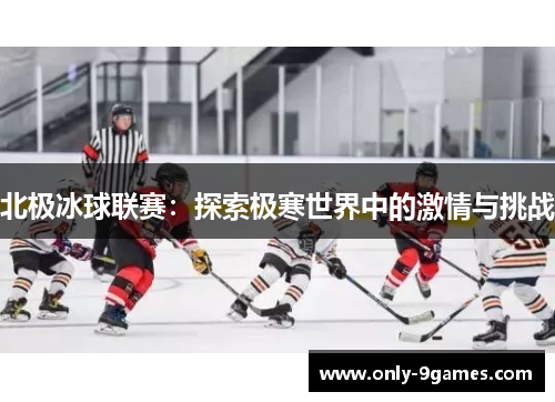 北极冰球联赛:探索极寒世界中的激情与挑战 北极冰球联赛:探索极寒世界中的激情与挑战