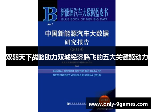 双羽天下战略助力双城经济腾飞的五大关键驱动力