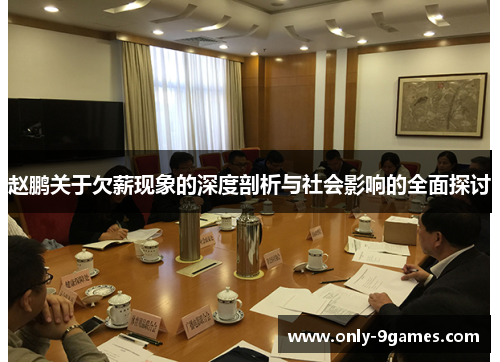 赵鹏关于欠薪现象的深度剖析与社会影响的全面探讨